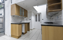 Littlehempston kitchen extension leads